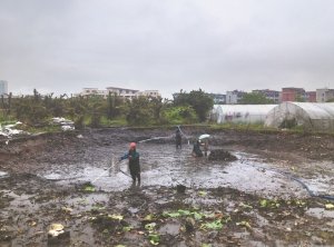 鄂州河道鱼塘清淤